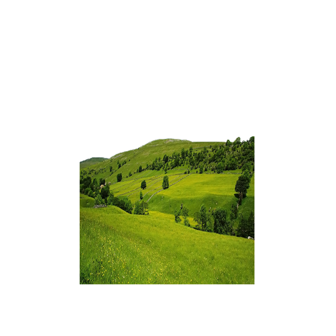GoPlant